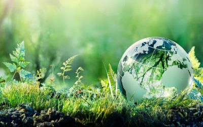Pioggia di ordini sul BTP Green