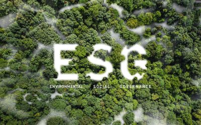 Borse, è un errore dire basta all’ecologia