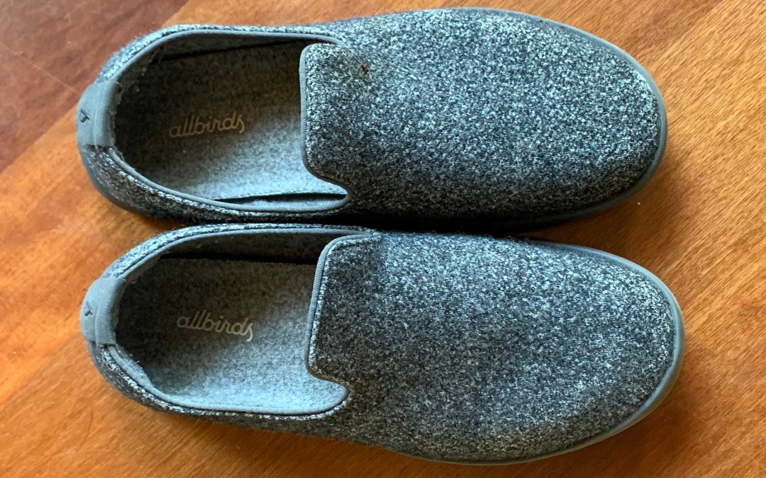 Allbirds diventa New Bird AI e i titoli guadagnano il 500% in poche ore