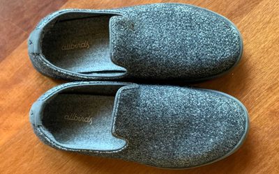 Allbirds diventa New Bird AI e i titoli guadagnano il 500% in poche ore